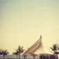 5046 85x85