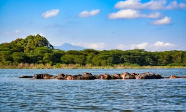 7 Days Kenya Classic Safari